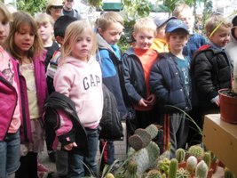 Kindergarten Trip to Warner’s Nursery and Willow Bend