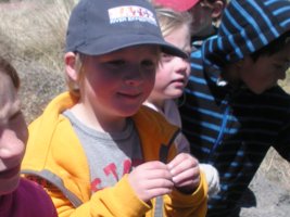 Kindergarten Trip to Warner’s Nursery and Willow Bend