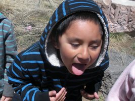 Kindergarten Trip to Warner’s Nursery and Willow Bend