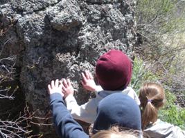 Kindergarten Trip to Warner’s Nursery and Willow Bend