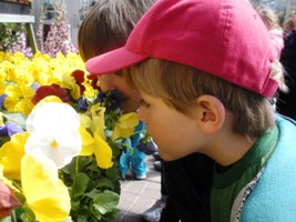 Kindergarten Trip to Warner’s Nursery and Willow Bend