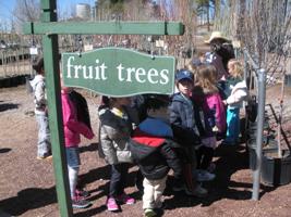 Kindergarten Trip to Warner’s Nursery and Willow Bend