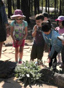 Kindergarten Trip to the Arboretum