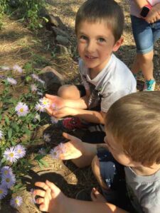 Kindergarten Trip to the Arboretum