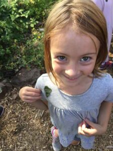 Kindergarten Trip to the Arboretum