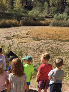 Kindergarten Trip to the Arboretum