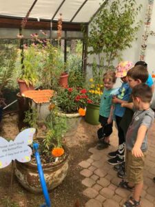 Kindergarten Trip to the Arboretum