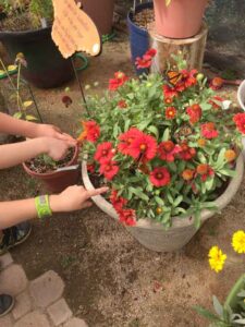 Kindergarten Trip to the Arboretum