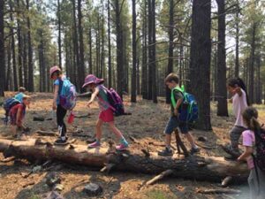 Kindergarten Trip to the Arboretum