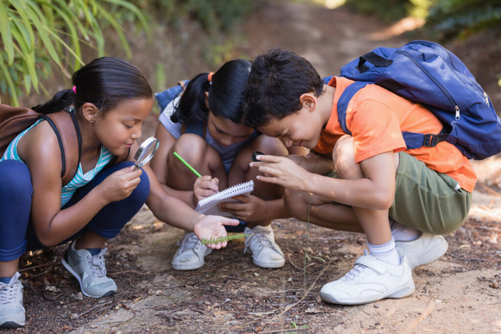 Montessori-public-charter-school-enrollment